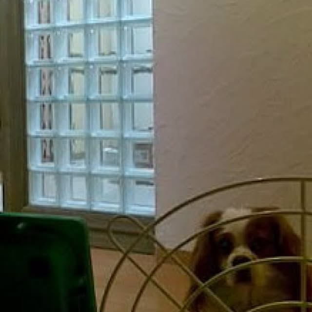 chee_popincourtさんの実例写真