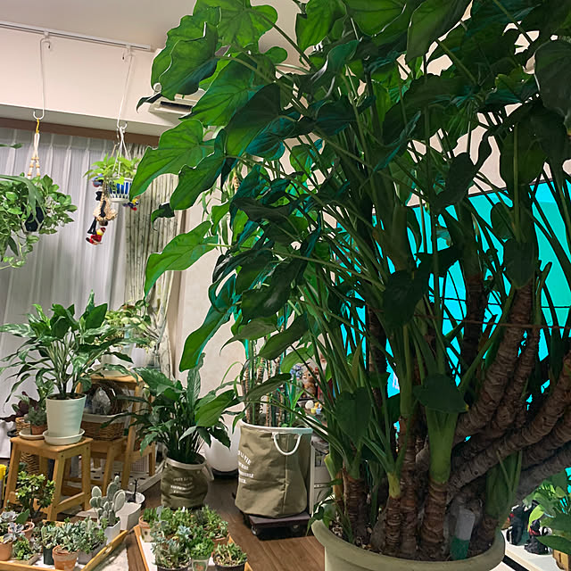 Aqettyさんの部屋