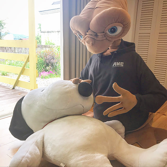 TOROさんの実例写真