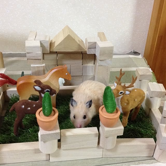 nozomiさんの実例写真