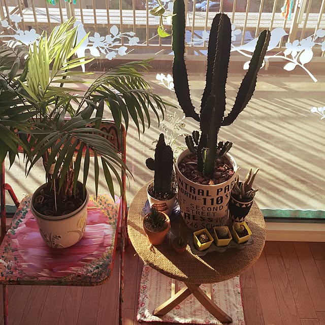 miyamiさんの実例写真
