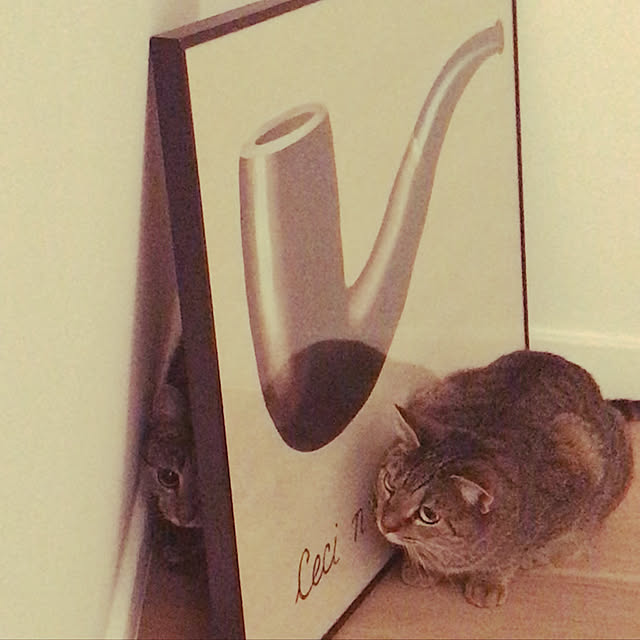 kimiさんの実例写真