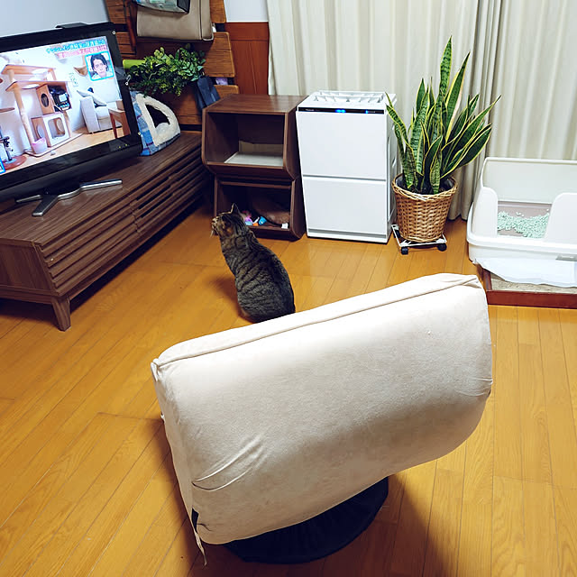 nachiさんの実例写真