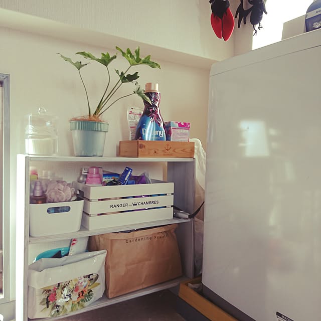 noirAyaさんの実例写真