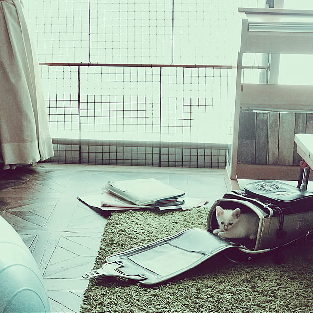 maroさんの実例写真