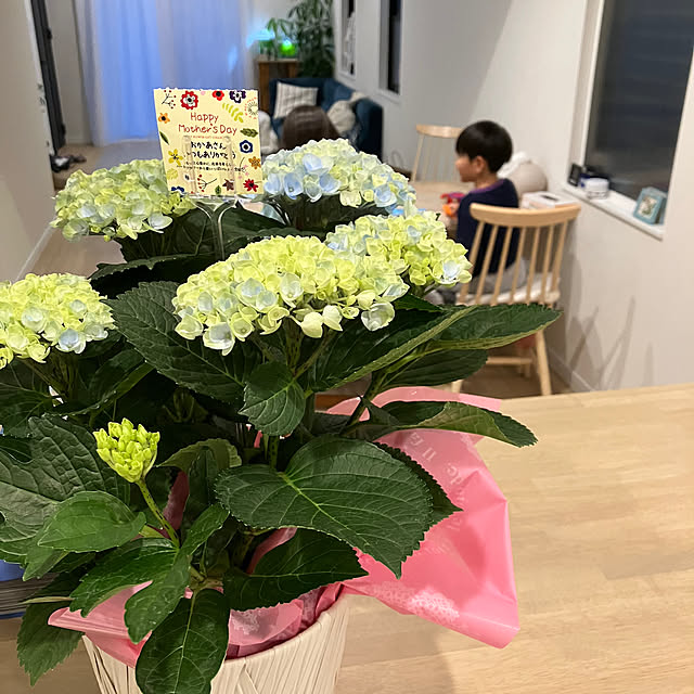 Tomorinさんの実例写真
