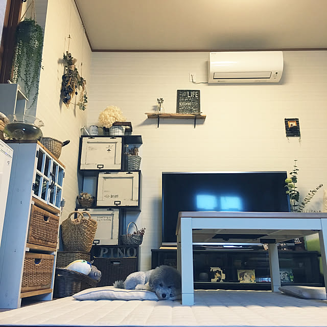 meguko.ryanさんの実例写真
