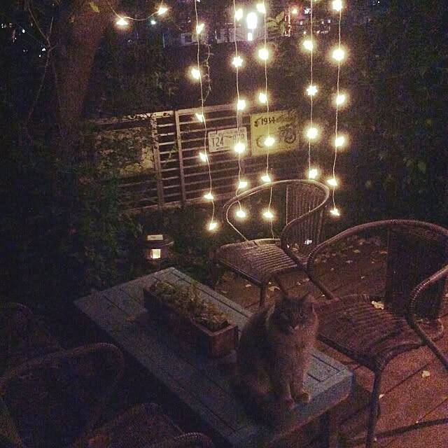 ayuさんの実例写真