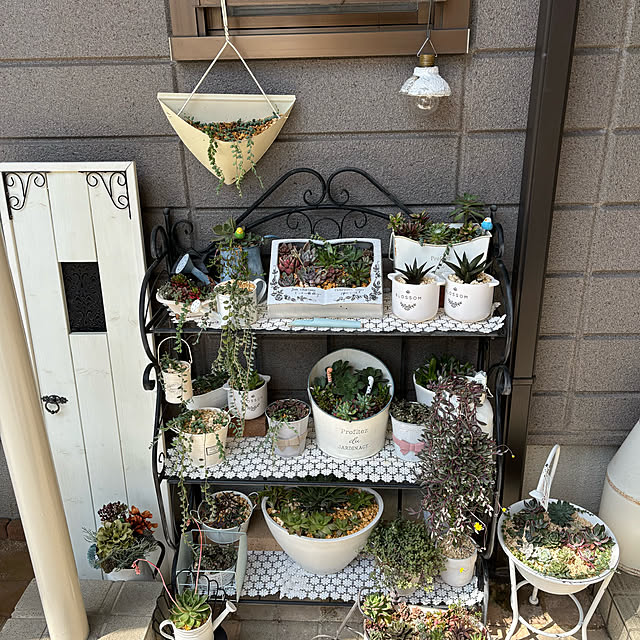 momocchiさんの部屋