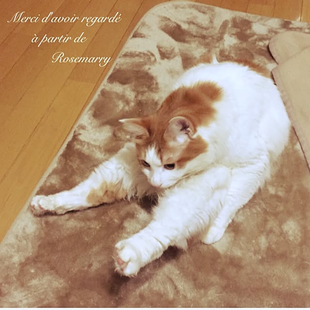 maria.rさんの実例写真