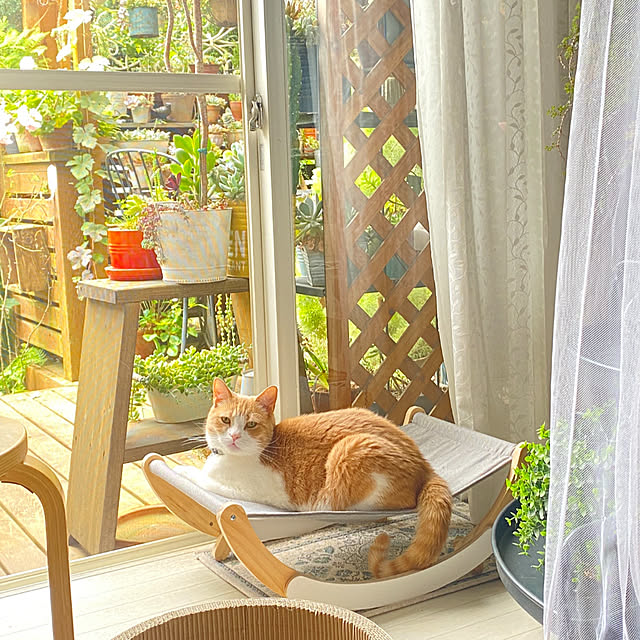 mintteaさんの部屋