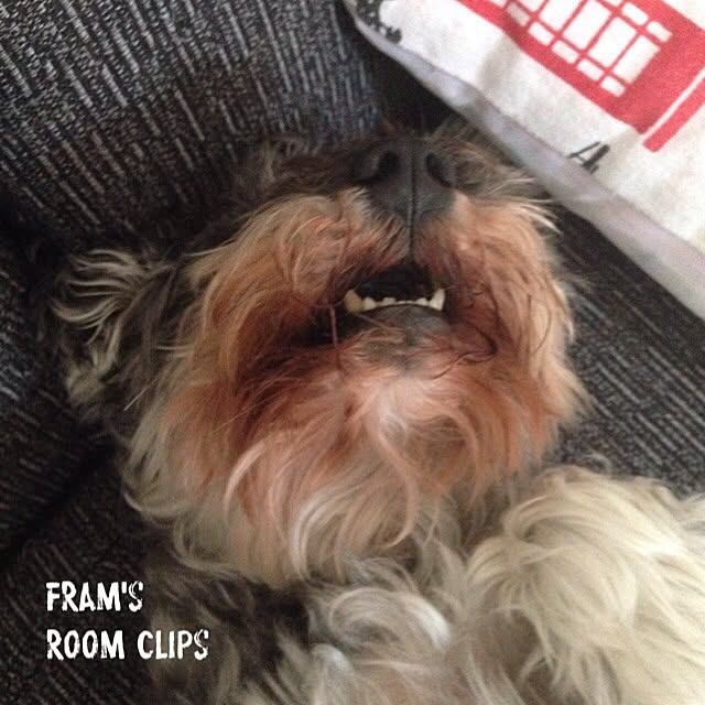 framさんの実例写真