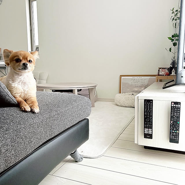 chimさんの部屋