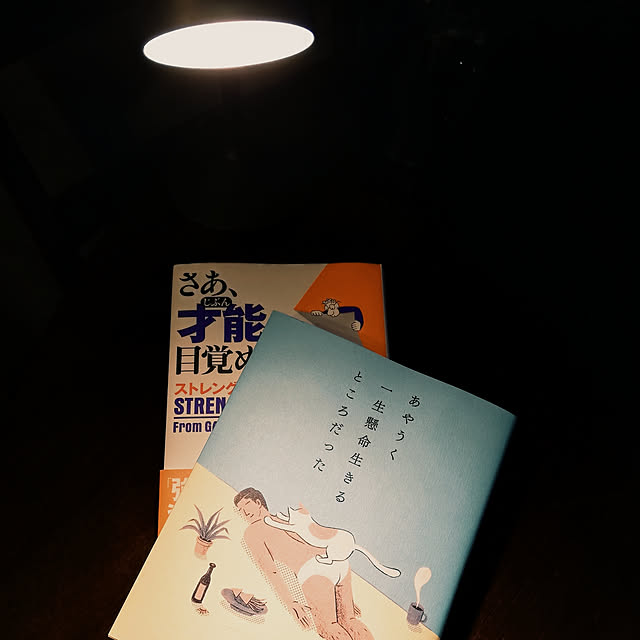 horimicaさんの実例写真