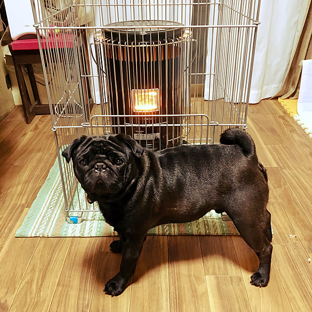kopandaさんの実例写真