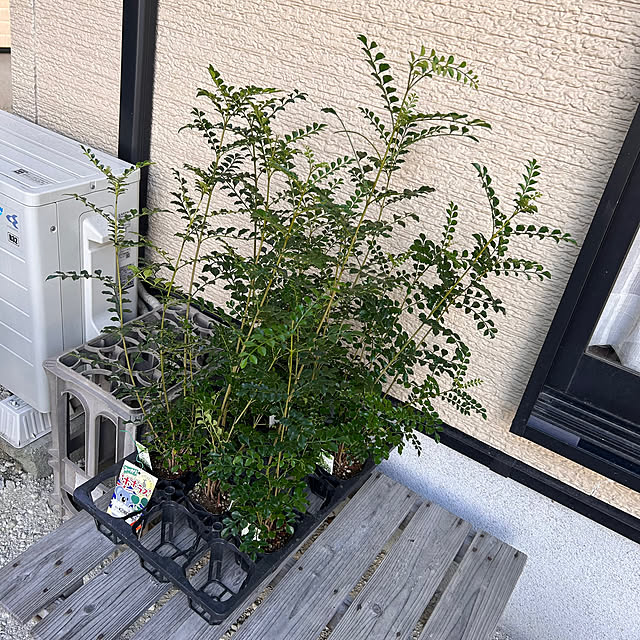 prelumoさんの部屋