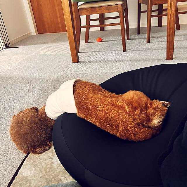 nanさんの実例写真