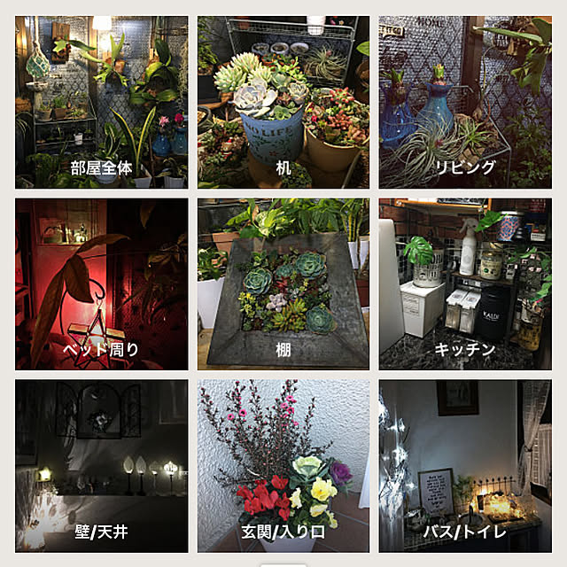 dainaoreiさんの実例写真