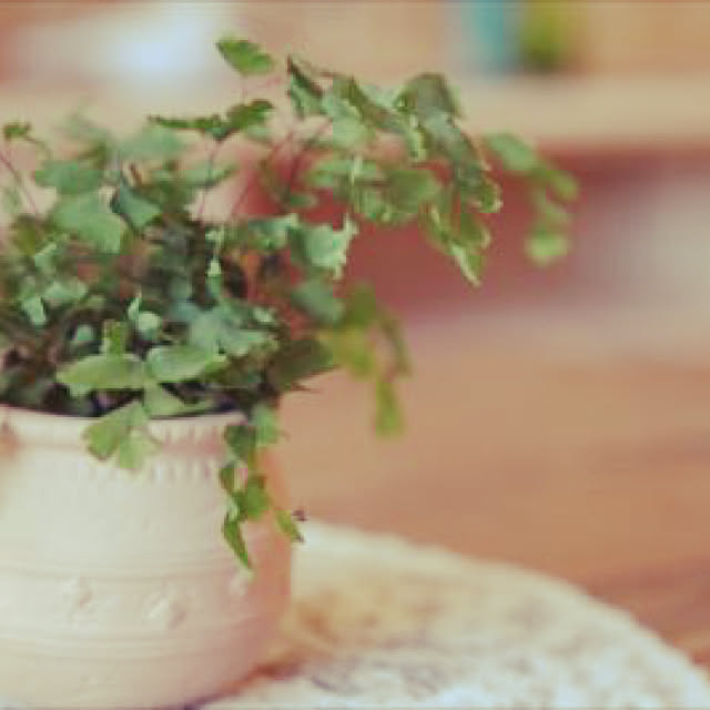バス/トイレ/観葉植物/北欧のインテリア実例 - 2017-11-02 15:26:30