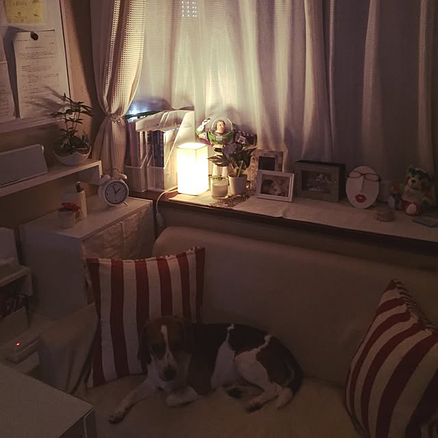 miuさんの実例写真