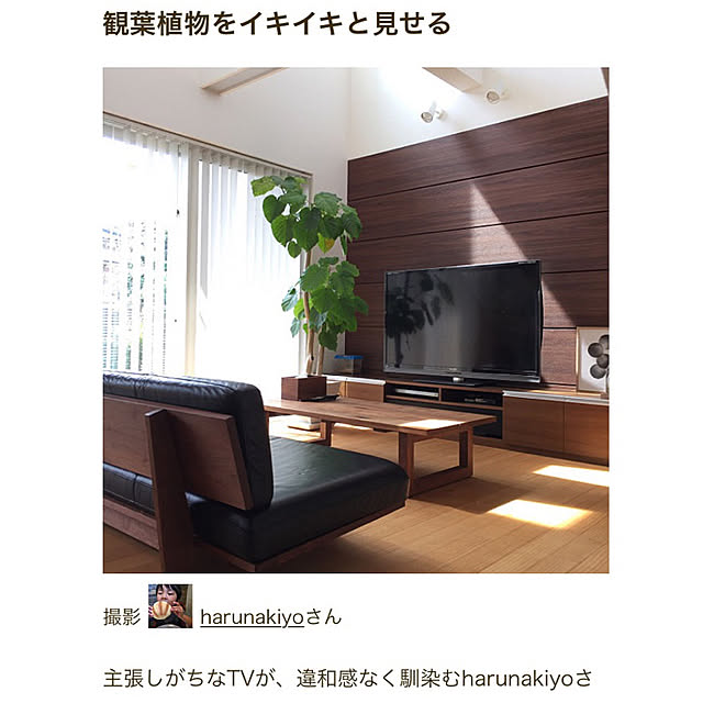 haruさんの実例写真