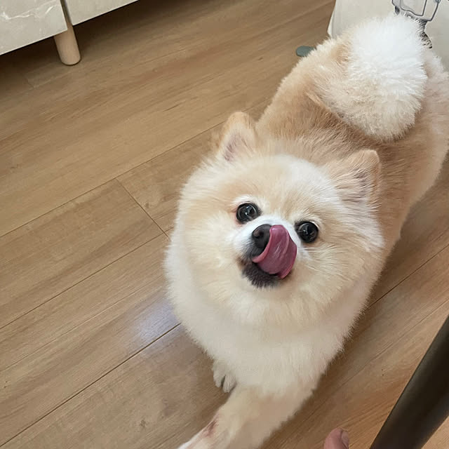 peanutsさんの実例写真