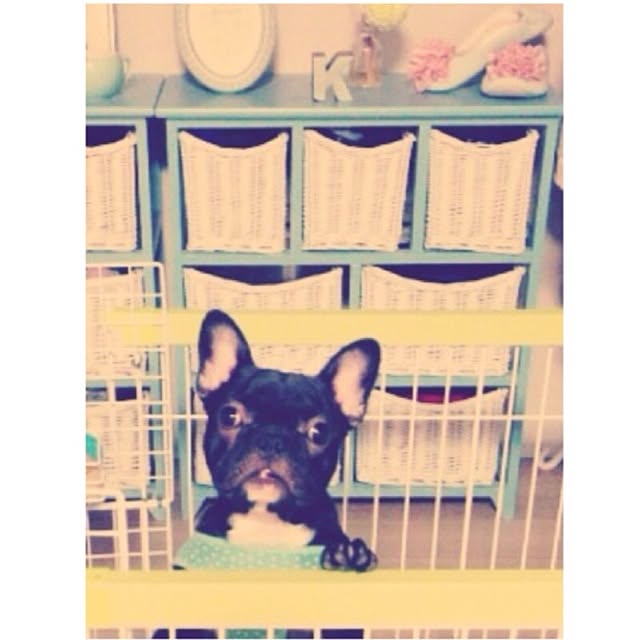 yuraさんの実例写真