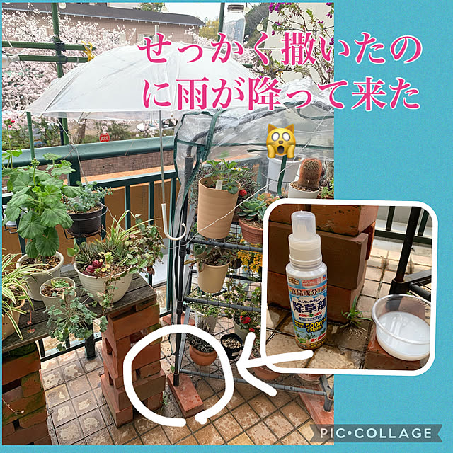 Aqettyさんの実例写真