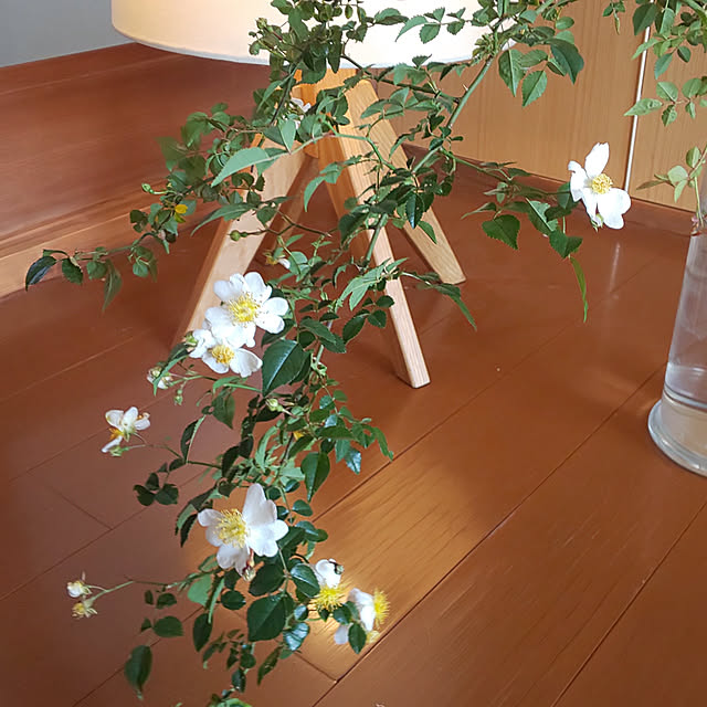 --rnrmm--さんの実例写真