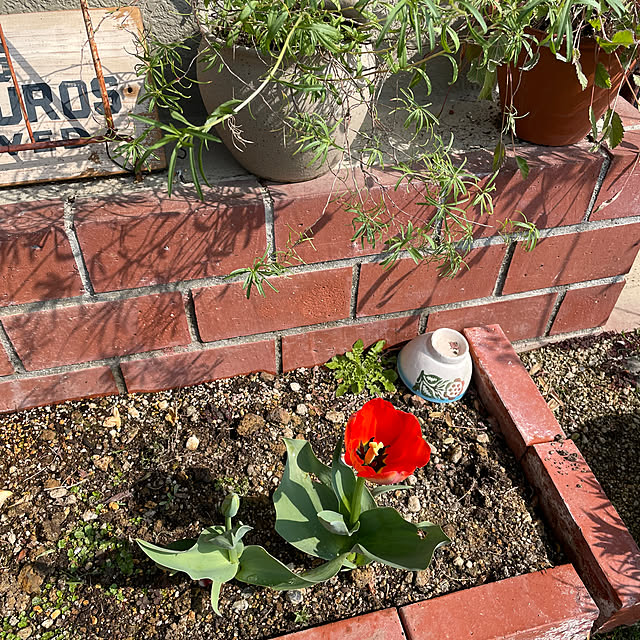 shin0719さんの実例写真