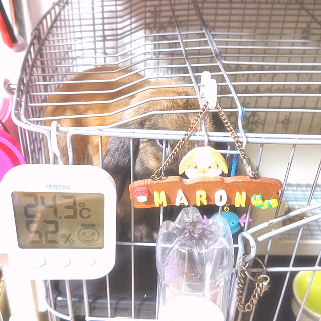 mariaさんの実例写真