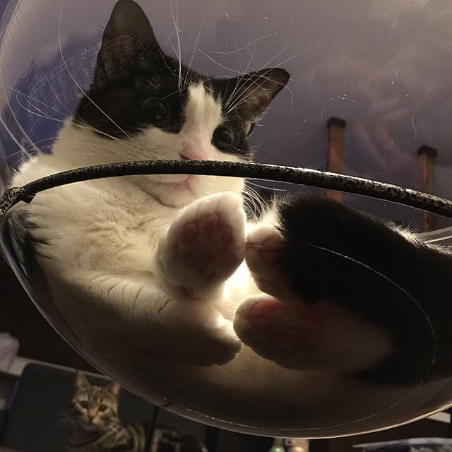 neuruさんの実例写真