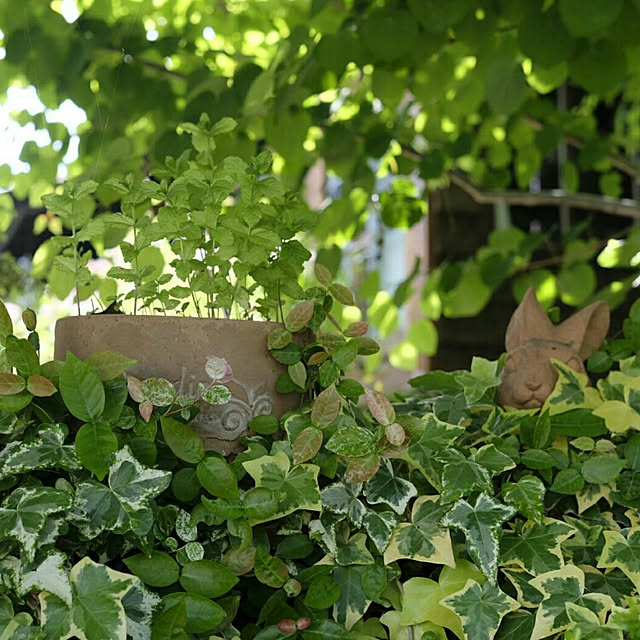 okaasanさんの実例写真