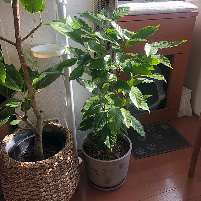 uchidaizuさんの部屋