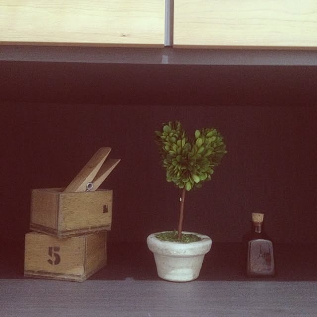 棚/100均/植物/雑貨のインテリア実例 - 2013-09-22 17:40:26