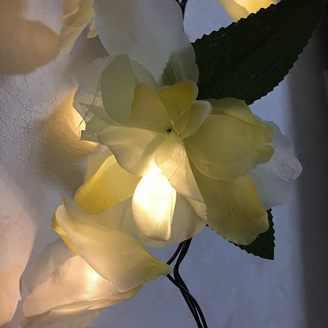 Cocoaさんの実例写真