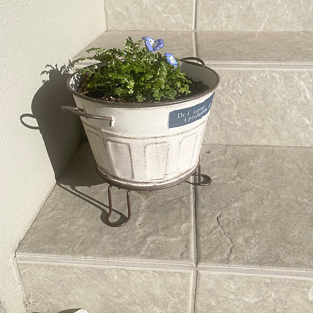 smileさんの実例写真