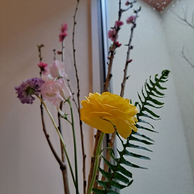 tammyさんの部屋