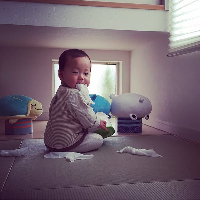 実例写真