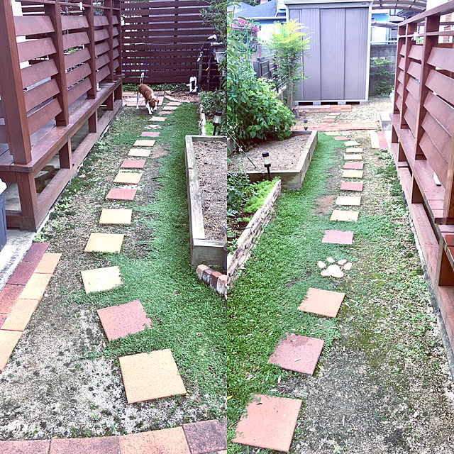 goro_wanさんの実例写真