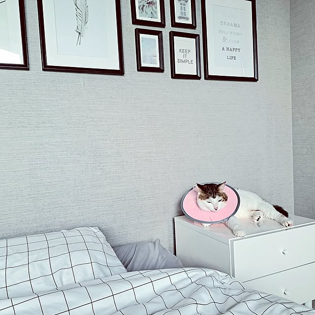 pandaさんの部屋