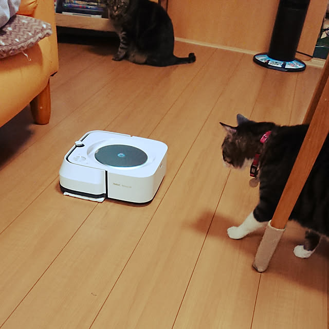 noguriさんの実例写真