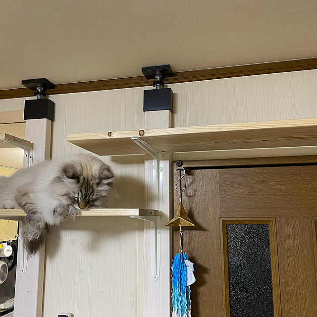 harumahoさんの実例写真