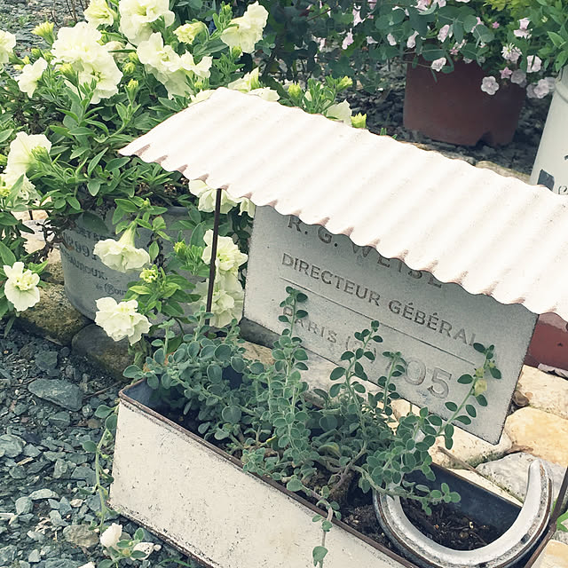yuumyさんの実例写真
