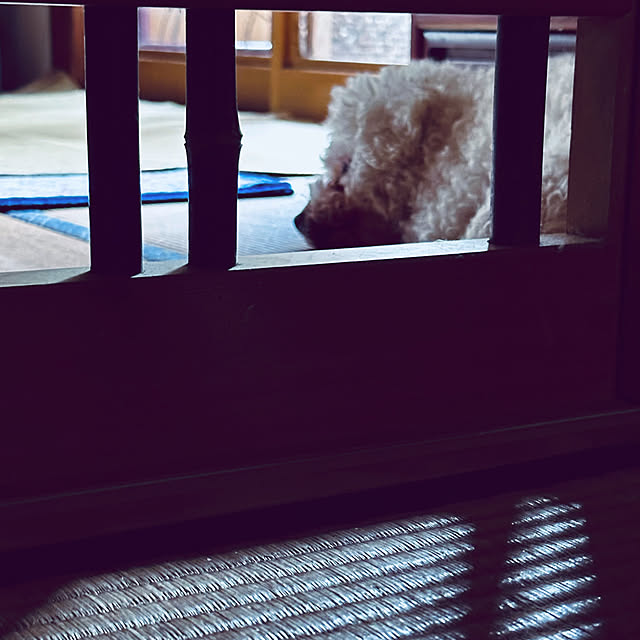 chacoさんの実例写真
