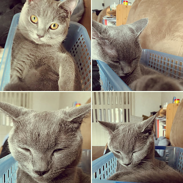 masaさんの実例写真