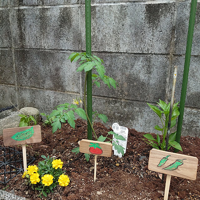 fukuさんの実例写真