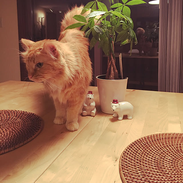 Keiさんの実例写真