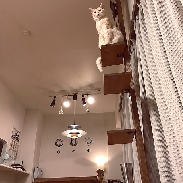 hiyupan88さんの実例写真