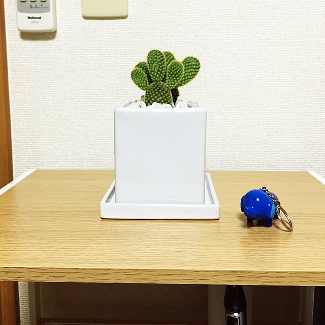 kyu_soさんの実例写真